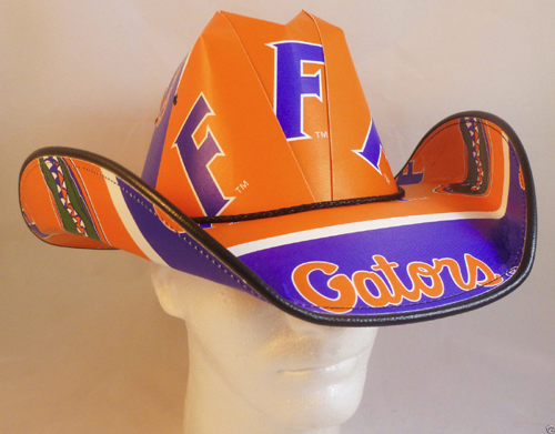 florida gators hat